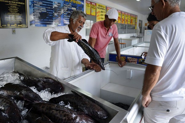 Doença “urina preta” pode estar relacionada a consumo de frutos do mar