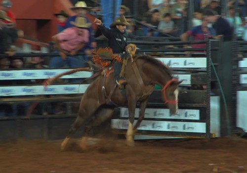 Atual campeão do Rodeio Fenamilho volta a vencer animal e vai ficando na 2ª posição; veja ao vivo