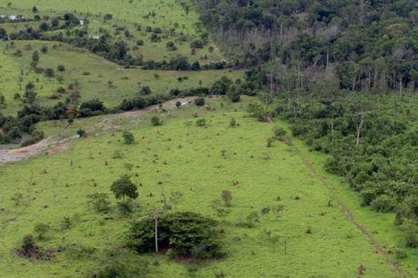 Aberto o prazo para entrega da Declaração do Imposto Territorial Rural