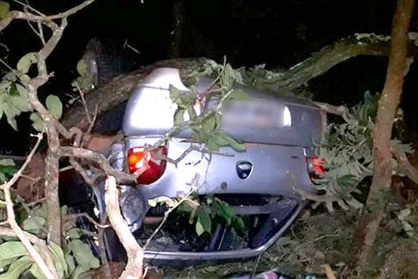 Carro com 4 pessoas, inclusive bebê, capota e para com as rodas para o alto na BR365 