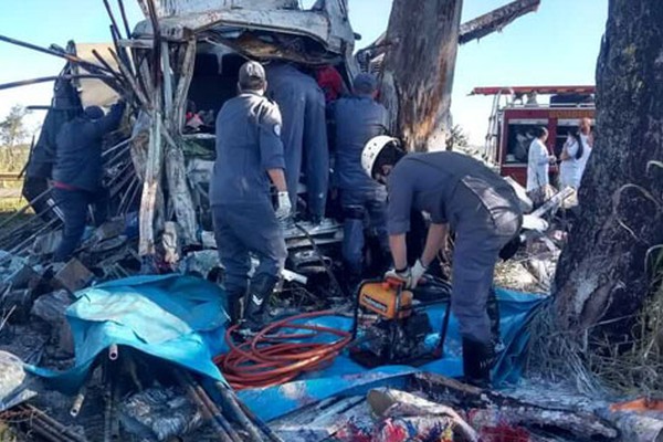 Motorista tem que ser resgatado após caminhão ter pneu estourado e bater em eucalipto 