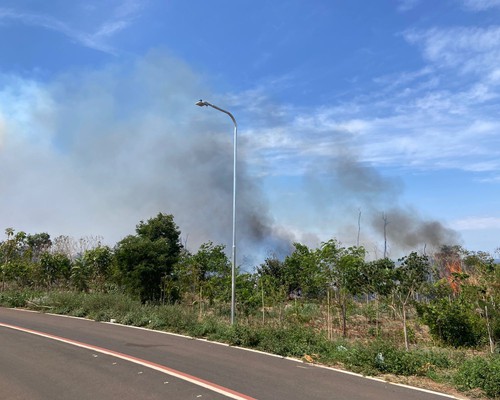 Incêndio deixa cenário de destruição no Parque da Mata do Catingueiro; pelo menos 60 pessoas combatem as chamas