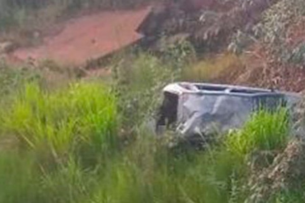 Carro com 4 ocupantes cai de ponte após ataque de abelhas e motorista morre 