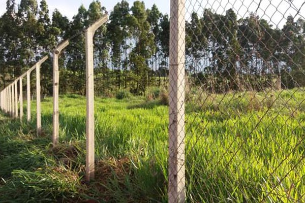 Ladrões arrancam parte do alambrado do Aeroporto Municipal de Patos de Minas