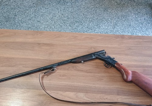 Polícia vai atrás de denúncia de abuso sexual de égua e prende morador com arma de fogo