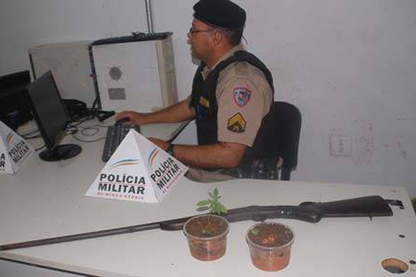 Irmã expulsa de casa denuncia e PM apreende espingarda e pés de maconha