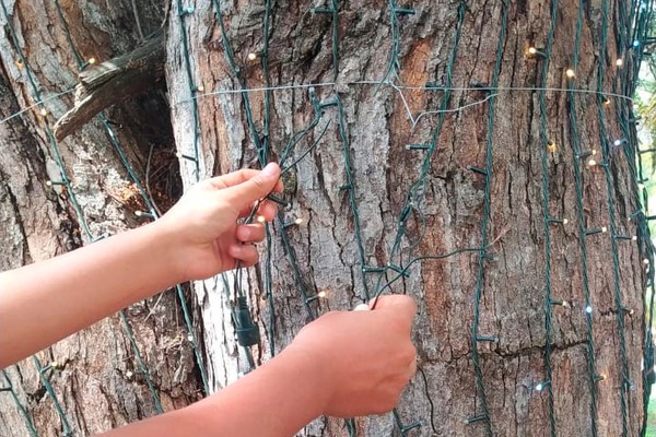 Em menos de uma semana, decoração de natal já sofre com furtos e atos de vandalismo