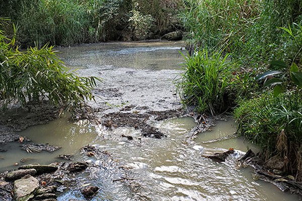 Represa de esgoto a poucos metros do Fórum de Patos de Minas revela descaso da Copasa