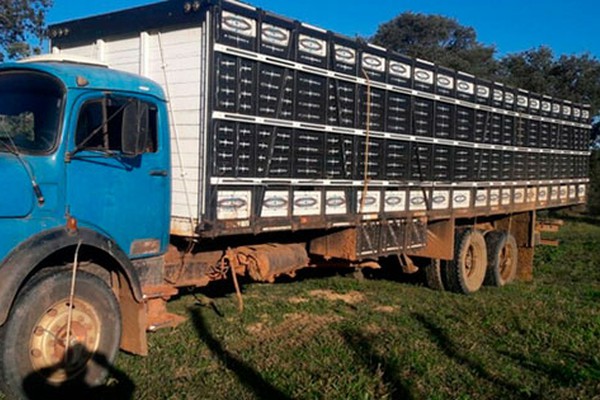 Polícia mata suspeito de tentativa de roubo de gado na zona rural de João Pinheiro