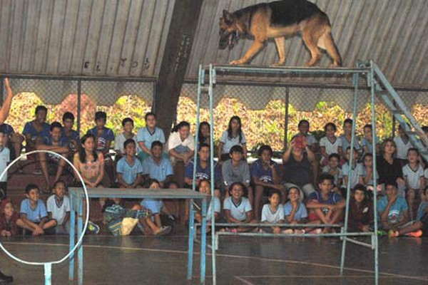 Polícia Militar, através de ações comunitárias, apresenta sua banda e canil a alunos da Escola Caic