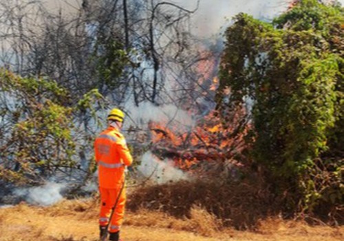 Incêndio de grandes proporções na Fazenda Fortaleza põe em risco plantação de café