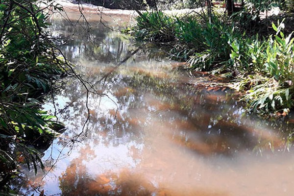 Rio Areado passa a ter apoio da CODEVASF e vai receber 25 mil peixes de espécies nativas