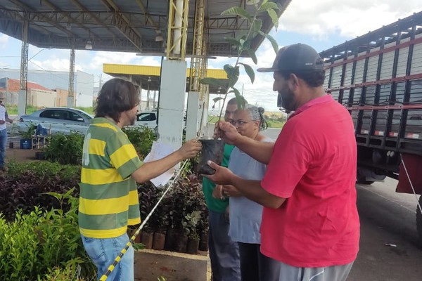 Patenses formam filas gigantescas em busca de mudas frutíferas doadas pela prefeitura em Patos de Minas