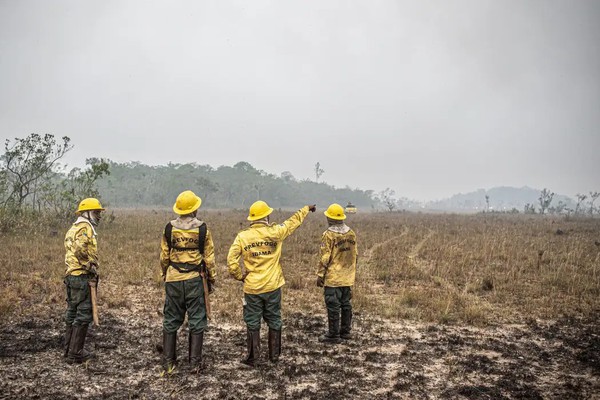 Dino estabelece orçamento de emergência para combate a incêndios