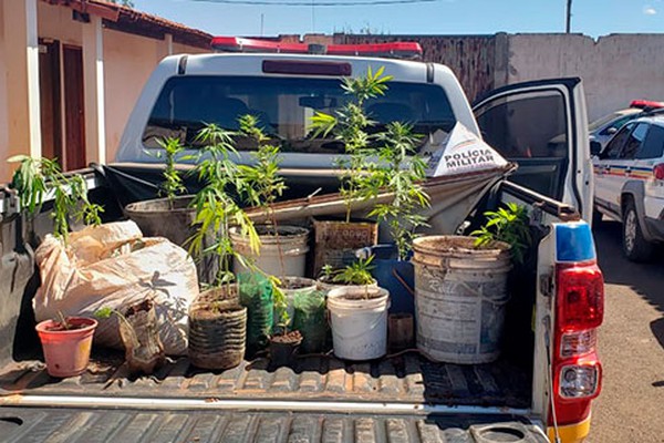 PM prende dupla com diversas armas e plantação de maconha em Monte Carmelo