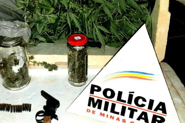 PM encontra maconha secando em varal e prende três com pé de maconha, várias folhas e sementes da droga