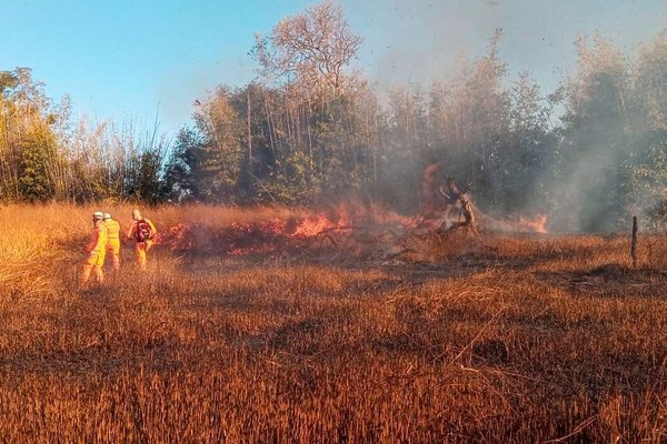 Queimadas em Patos de Minas e na região causam danos ao meio ambiente e dão trabalho para o Corpo de Bombeiros