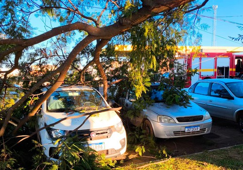 Galho de árvore de grande porte despenca sobre carros e a rede elétrica da Ceasa de Patos de Minas