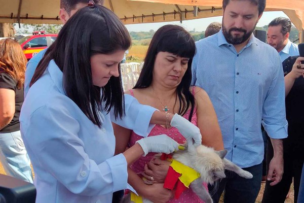 Câmara fará audiência pública para discutir obrigatoriedade de microchipagem em animais