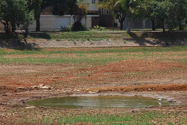 Enquanto água não chega na Lagoa Grande, mato já começa a reaparecer no leito