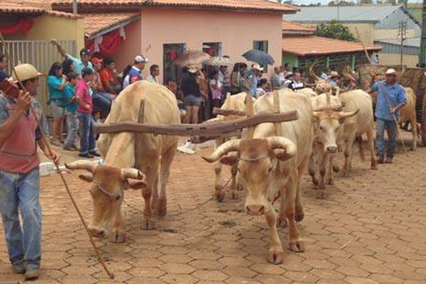 Festa de São Sebastião em Monjolinho de Minas reúne milhares de pessoas