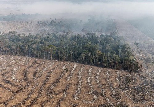 Fundo da Amazônia terá contribuição de R$ 91 milhões da Irlanda