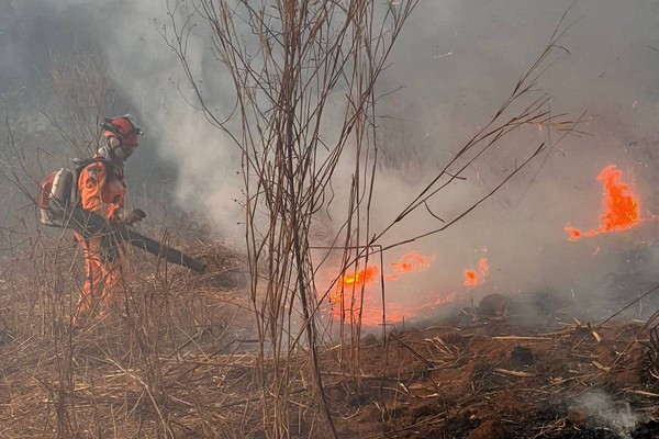 Queimada atinge a parte alta da cidade e destrói mais de 80 hectares de vegetação