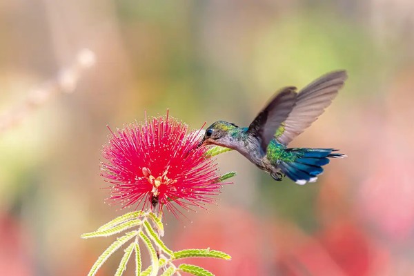 Primavera começa com ondas de calor e baixa umidade no país