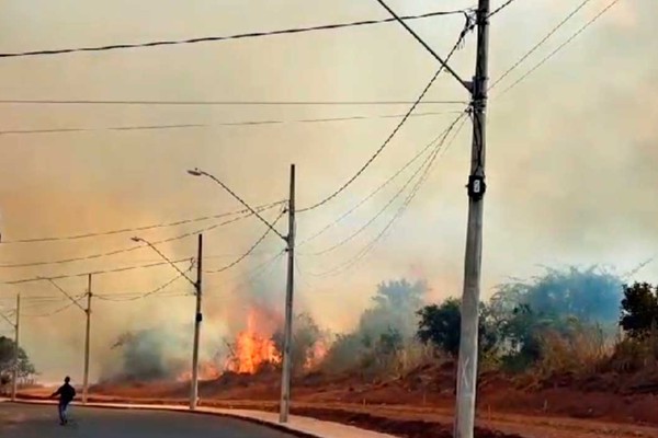 Mata do Cantingueiro volta a ser consumida pelo fogo; mais de 20 mil metros foram destruídos