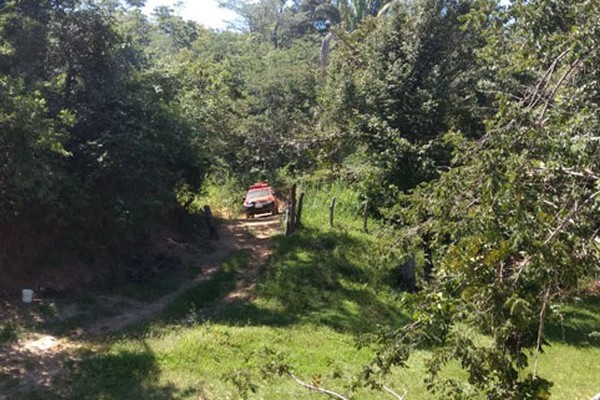 Bombeiros de Patos de Minas resgatam vítimas após ataque de abelhas na Taboca