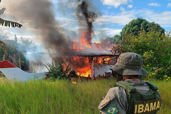 STF rejeita lei de Roraima que proíbe destruição de bens apreendidos