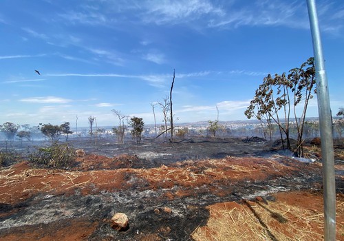 Incêndio deixa cenário de destruição no Parque da Mata do Catingueiro; pelo menos 60 pessoas combatem as chamas