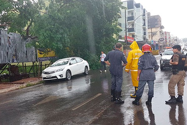 Árvore enorme ameaça a desabar na Rua Major Gote e Bombeiros fecham pista perto do Unipam