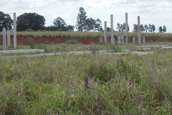 Canteiro de obras do Campus da UFU em Patos de Minas segue parado e tomado pelo mato