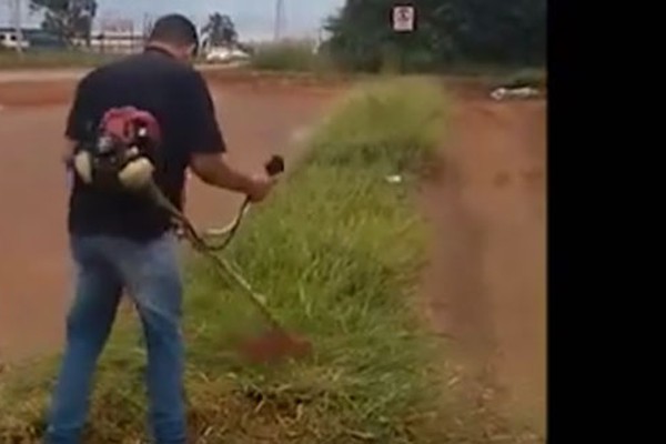 Comerciantes resolvem não esperar por prefeitura e se juntam para roçar canteiro em Patos de Minas