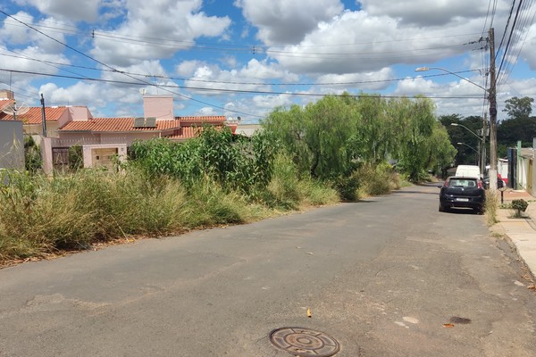 Moradores denunciam sujeira, mato alto e até necessidades fisiológicas em avenida no Jardim Paulistano