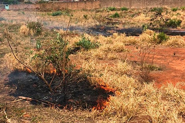 Jovem é preso colocando fogo em lote vago para renovar pasto em Patrocínio