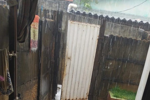 Tempestade de granizo derruba árvores e deixa um rastro de prejuízos em Carmo do Paranaíba; veja