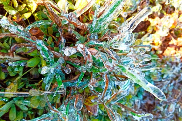 INMET emite alerta de perigo após previsão de frio intenso nos próximos dias