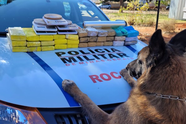 PM usa cães farejadores e apreende grande quantidade de crack, maconha e pasta base de cocaína