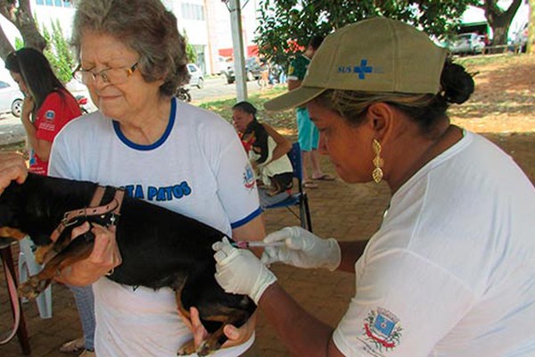 Campanha de vacinação contra a raiva em cães e gatos terá mais uma etapa neste sábado