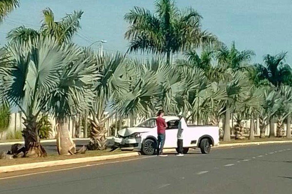 Motorista de pick up perde o controle em curva e atinge palmeira violentamente em avenida