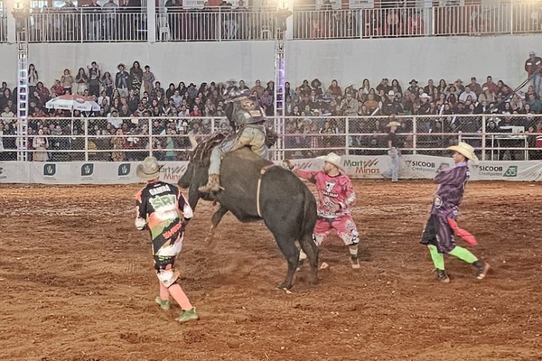 Salva vidas no rodeio têm um papel fundamental de garantir a segurança dos peões; veja ao vivo