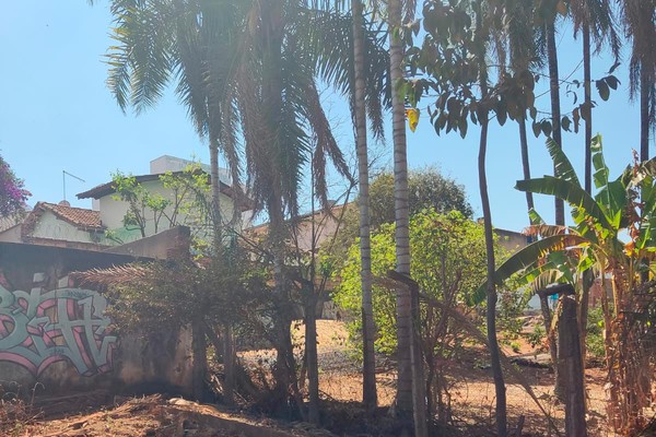 Diretor do Codema flagra invasão de área do Parque do Mocambo e cobra providências