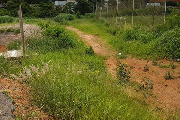 Com pista tomada por mato, pilotos de bicicross pedem apoio da Prefeitura para manutenção