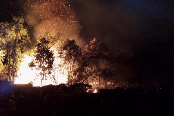 Corpo de Bombeiros é acionado para apagar 3º incêndio da semana na Mata do Catingueiro