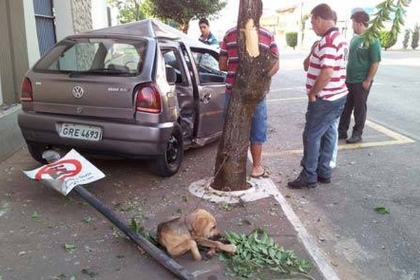 Jovem dorme ao volante, bate várias vezes e tem a carteira furtada por cidadão