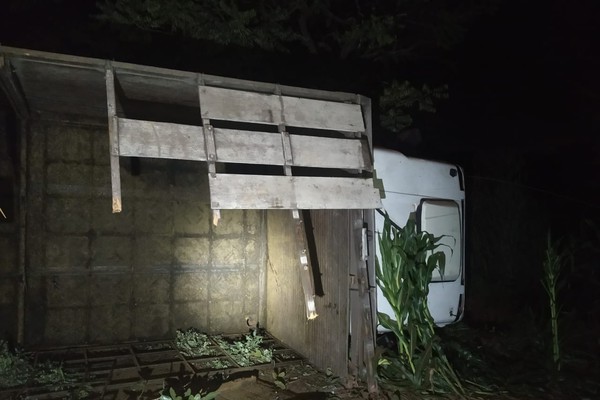 Motorista cochila ao volante e caminhão que transportava bovinos para tombado na BR 352