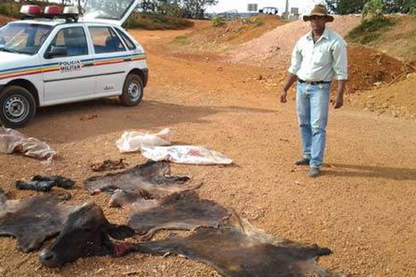 Parte de cano de descarga ajuda a identificar ladrões de gado em Lagoa Formosa