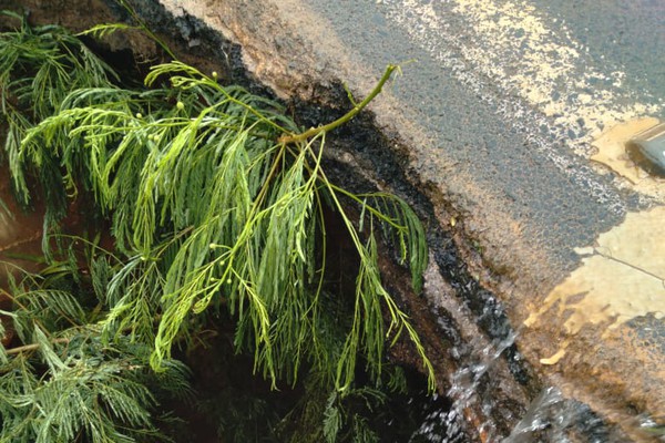 DNIT e PRF vêem riscos em ponte e interditam meia pista da BR 365 na região dos Vieiras, em Patos de Minas